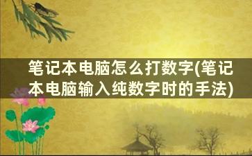 笔记本电脑怎么打数字(笔记本电脑输入纯数字时的手法)