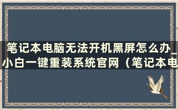 笔记本电脑无法开机黑屏怎么办_小白一键重装系统官网（笔记本电脑无法开机黑屏怎么办戴尔）