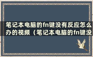 笔记本电脑的fn键没有反应怎么办的视频（笔记本电脑的fn键没有反应）