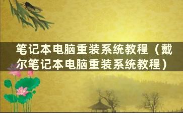 笔记本电脑重装系统教程（戴尔笔记本电脑重装系统教程）