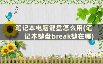 笔记本电脑键盘怎么用(笔记本键盘break键在哪)