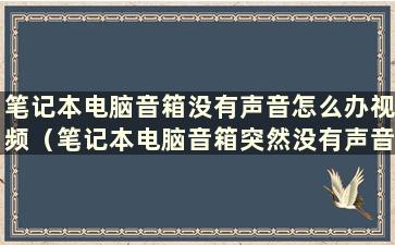 笔记本电脑音箱没有声音怎么办视频（笔记本电脑音箱突然没有声音怎么办）