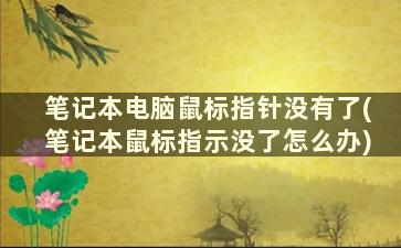 笔记本电脑鼠标指针没有了(笔记本鼠标指示没了怎么办)