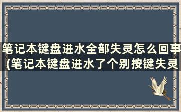 笔记本键盘进水全部失灵怎么回事(笔记本键盘进水了个别按键失灵了怎么办)