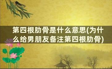 第四根肋骨是什么意思(为什么给男朋友备注第四根肋骨)