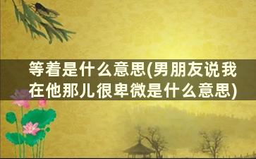 等着是什么意思(男朋友说我在他那儿很卑微是什么意思)