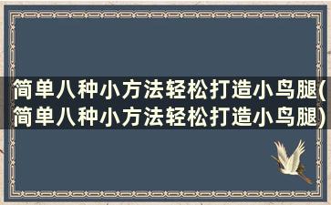 简单八种小方法轻松打造小鸟腿(简单八种小方法轻松打造小鸟腿)