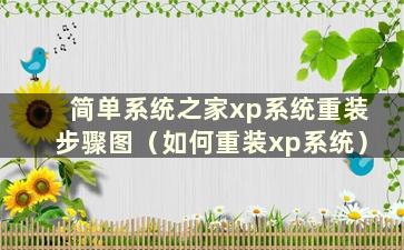 简单系统之家xp系统重装步骤图（如何重装xp系统）