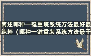 简述哪种一键重装系统方法最好最纯粹（哪种一键重装系统方法最干净）