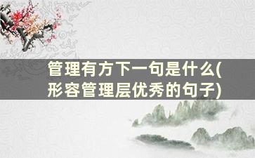 管理有方下一句是什么(形容管理层优秀的句子)