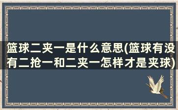 篮球二夹一是什么意思(篮球有没有二抢一和二夹一怎样才是夹球)