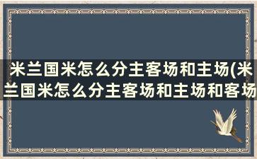 米兰国米怎么分主客场和主场(米兰国米怎么分主客场和主场和客场)