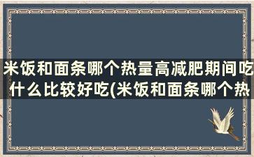 米饭和面条哪个热量高减肥期间吃什么比较好吃(米饭和面条哪个热量高,减肥吃哪个比较好)