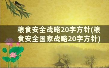 粮食安全战略20字方针(粮食安全国家战略20字方针)