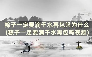 粽子一定要滴干水再包吗为什么(粽子一定要滴干水再包吗视频)