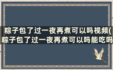 粽子包了过一夜再煮可以吗视频(粽子包了过一夜再煮可以吗能吃吗)