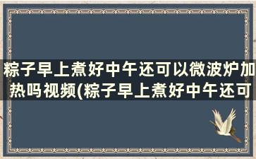 粽子早上煮好中午还可以微波炉加热吗视频(粽子早上煮好中午还可以微波炉加热吗为什么)