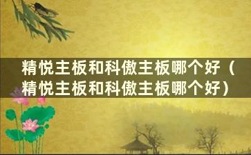 精悦主板和科傲主板哪个好（精悦主板和科傲主板哪个好）