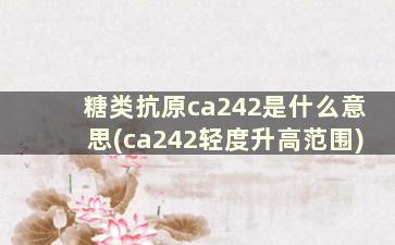 糖类抗原ca242是什么意思(ca242轻度升高范围)