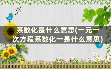 系数化是什么意思(一元一次方程系数化一是什么意思)