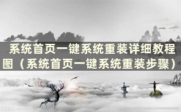 系统首页一键系统重装详细教程图（系统首页一键系统重装步骤）