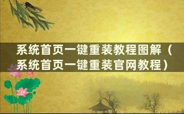 系统首页一键重装教程图解（系统首页一键重装官网教程）