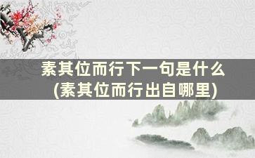 素其位而行下一句是什么(素其位而行出自哪里)