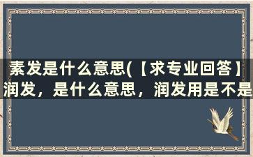 素发是什么意思(【求专业回答】润发，是什么意思，润发用是不是只要将用品抹在头发上免洗的吗)