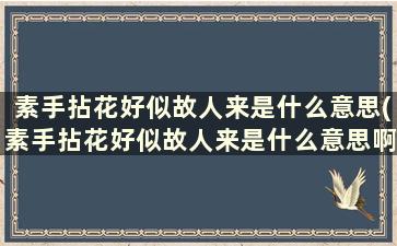 素手拈花好似故人来是什么意思(素手拈花好似故人来是什么意思啊)