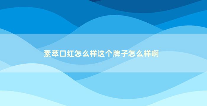 素萃口红怎么样这个牌子怎么样啊