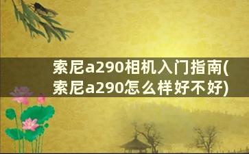 索尼a290相机入门指南(索尼a290怎么样好不好)