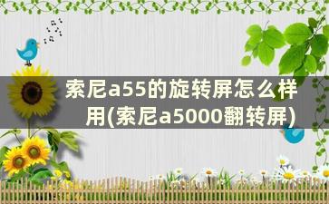 索尼a55的旋转屏怎么样用(索尼a5000翻转屏)