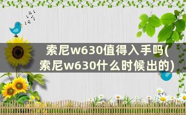 索尼w630值得入手吗(索尼w630什么时候出的)