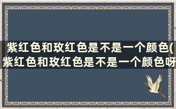 紫红色和玫红色是不是一个颜色(紫红色和玫红色是不是一个颜色呀)