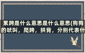 累跨是什么意思是什么意思(狗狗的吠叫，爬跨，拱背，分别代表什么意思)