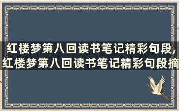 红楼梦第八回读书笔记精彩句段,红楼梦第八回读书笔记精彩句段摘抄