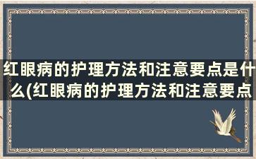 红眼病的护理方法和注意要点是什么(红眼病的护理方法和注意要点)