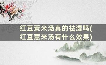 红豆薏米汤真的祛湿吗(红豆薏米汤有什么效果)