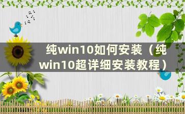 纯win10如何安装（纯win10超详细安装教程）