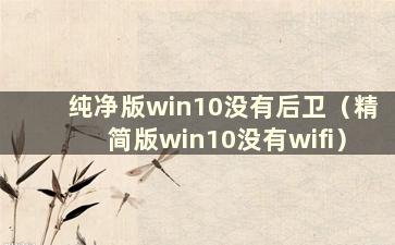 纯净版win10没有后卫（精简版win10没有wifi）