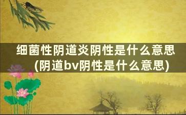 细菌性阴道炎阴性是什么意思(阴道bv阴性是什么意思)