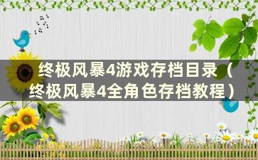 终极风暴4游戏存档目录（终极风暴4全角色存档教程）