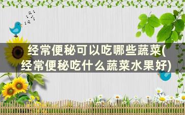 经常便秘可以吃哪些蔬菜(经常便秘吃什么蔬菜水果好)