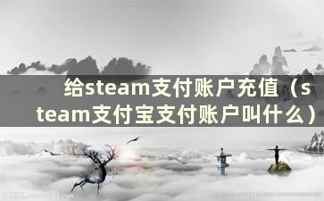 给steam支付账户充值（steam支付宝支付账户叫什么）