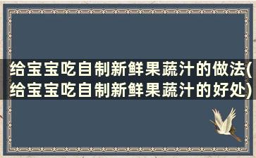 给宝宝吃自制新鲜果蔬汁的做法(给宝宝吃自制新鲜果蔬汁的好处)