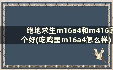 绝地求生m16a4和m416哪个好(吃鸡里m16a4怎么样)