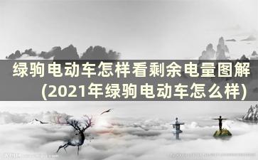 绿驹电动车怎样看剩余电量图解(2021年绿驹电动车怎么样)