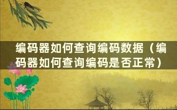 编码器如何查询编码数据（编码器如何查询编码是否正常）