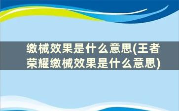 缴械效果是什么意思(王者荣耀缴械效果是什么意思)