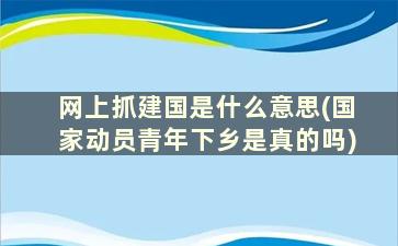 网上抓建国是什么意思(国家动员青年下乡是真的吗)